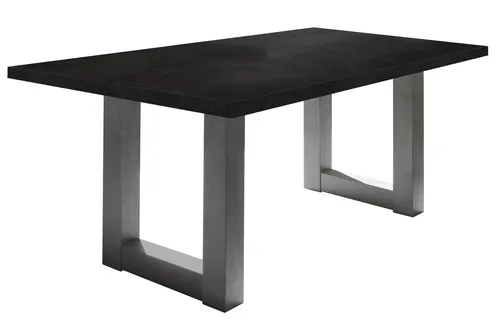 möbel-direkt.de Esstisch Esstisch U 160 cm Mister