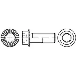 Zylinderkopf-Flanschschraube VG M5x12 Stahl 10.9 - Maschinenschrauben, 500 Stück mit Innensechskant und Sperrrippen für sicheren Halt und optimale Verbindung.