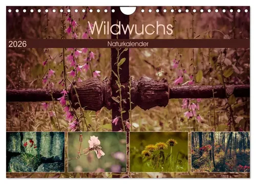 Marianne Drews | Wildwuchs 2026 Wandkalender DIN A4 - Entdecken Sie die Schönheit wilder Pflanzen mit diesem einzigartigen Wandkalender 2026. 14 beeindruckende Fotografien begleiten Sie durch das Jahr und bringen Natur in Ihr Zuhause.