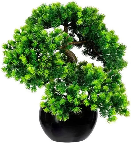 Kunstbonsai Bonsai Lärche Bonsai Lärche, Creativ green, Höhe 37 cm, im Keramiktopf