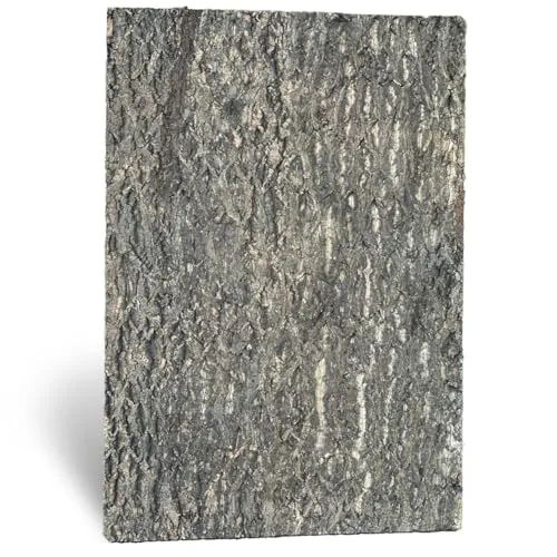 M&S Reptilien Zierkorkrückwand Nature Plattengröße 90 x 60 x 2cm (DPCT061)