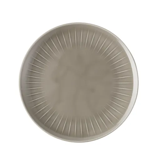 Rosenthal Speiseteller 