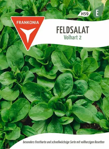 FRANKONIA Gemüsesamen Feldsalat, Dunkelgrüner Vollherziger Großpackung Salat-Samen, Valerianella locusta
