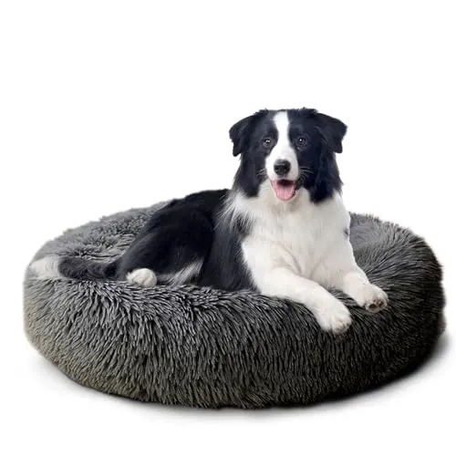CALIYO Hundebett Mittelgroße Hunde, Katzenbett Flauschig, Katzenkissen Hundekissen Waschbar, Trocknergeeignetes Katzen Bett, Hundebetten Rund Katzenkörbchen Durchmesser 70 cm(Dunkelgrau)