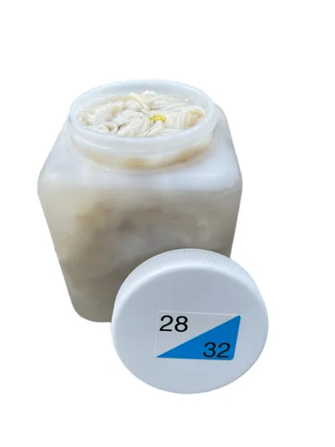 Schweinedarm Kaliber 28/32