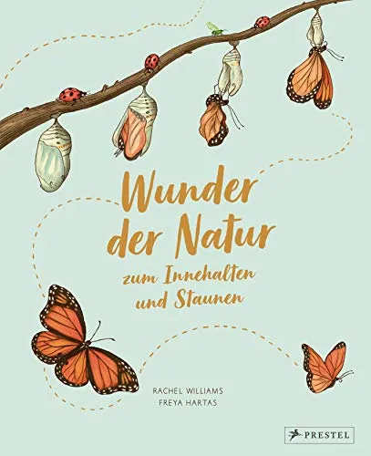 Wunder der Natur zum Innehalten und Staunen: 50 kleine Geschichten - Kinderbuch über Tiere mit 50 fesselnden Geschichten, die das Staunen über alltägliche Naturereignisse wecken und Kinder zum Innehalten anregen.