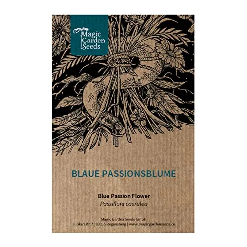 Produktbild Blaue Passionsblume (Passiflora caerulea) - ca. 10 Samen