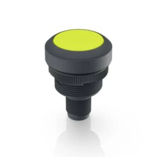 RAFI 1.10.011.001/0441 RAMO 22 T Drucktaster 35 V/DC 0.1 A tastend (L x B x H)