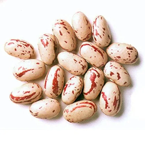 Rosecoco-Bohnen (Wachtelbohnen) - 200 g