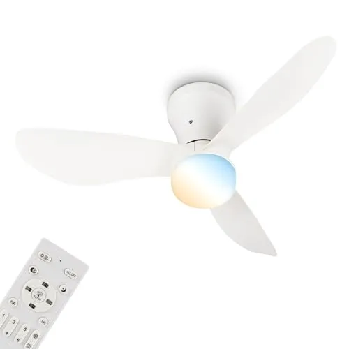 BRILONER LEUCHTEN LED Deckenleuchte 