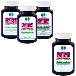 Salbei 720 Kapseln nach Hildegard von Bingen - NATUR Pur ohne Zusatzstoffe - Salbei 720 Kapseln, rein und ohne Zusatzstoffe, ideal zur Unterstützung des Wohlbefindens. Mikrofein vermahlen für optimale Aufnahme. 100% natürliche Zutaten, in Deutschland abgefüllt.