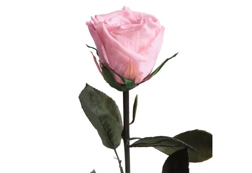 Kunstblumen von Rosemarie Schulz