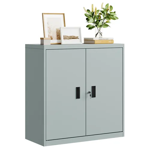 Woltu Aktenschrank abschließbar, 2-türiger Ordnerschrank aus Metall in Grau