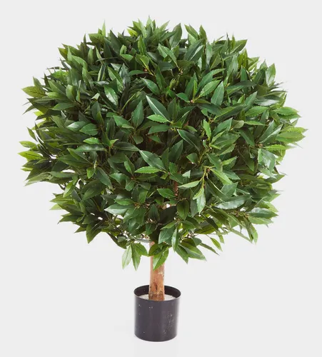artplants Deko Lorbeerbaum Tiberius, 2220 Blätter, 80cm - Künstlicher Lorbeerbaum mit 2220 Blättern in lebendigem Grün. Ideal für eine ansprechende Raumgestaltung, pflegeleicht und langlebig.