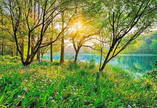 Komar Fototapete SPRING LAKE | 368 x 254 cm von Komar