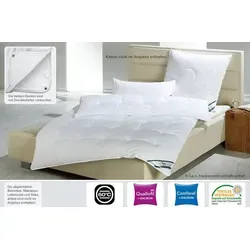 f.a.n. Vierjahreszeiten-Steppbett First Class 135x200 - Bettdecken für höchste Schlafqualität, kuschelig weich mit bauschiger Dacron® Quallofil® Air Füllung, ideal für Allergiker und waschbar bis 60°C.