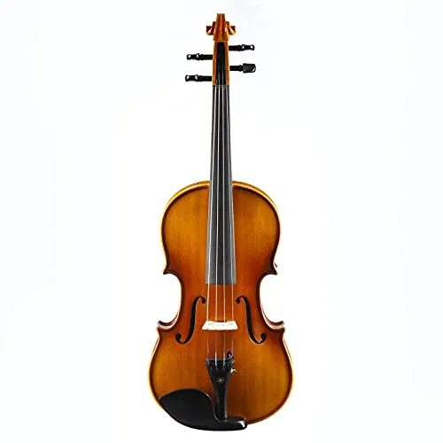 Monzani Capriccio 21 1/2 Violinset, Vollmassiver Ahornkorpus, Fichtendecke, Handangepasster Ahorn-Steg, Ebenholzgarnitur, Inklusive Etui, Brasil-Rundholzbogen