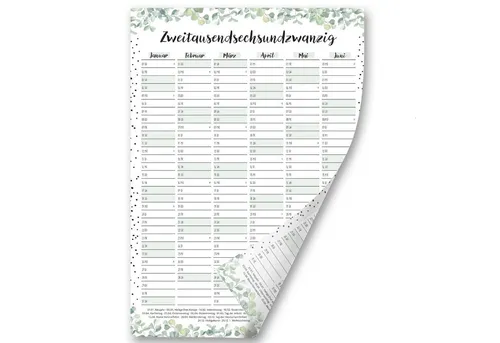 Timr Wandkalender Timr Wandkalender 2026 Motiv Eukalyptus Dots I tr399