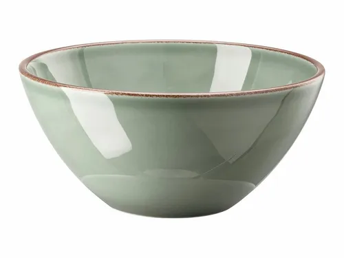 Rosenthal Schale Profi Casual Moss Bowl 22cm - Elegante 22cm Schale aus hochwertigem Porzellan, ideal zum stilvollen Servieren von Salaten und Beilagen. Ein Must-have für anspruchsvolle Tischarrangements.