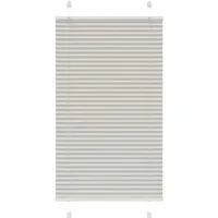 vidaXL Plissee Hellgrau 70x100 cm – Sicht- und Sonnenschutz - Dieses elegante Plissee aus 100 % Polyester bietet optimalen Sicht- und Blendschutz. Langlebig und pflegeleicht, passt es perfekt in jedes Zimmer. Montagemöglichkeiten ohne Bohren für flexibles Anbringen.