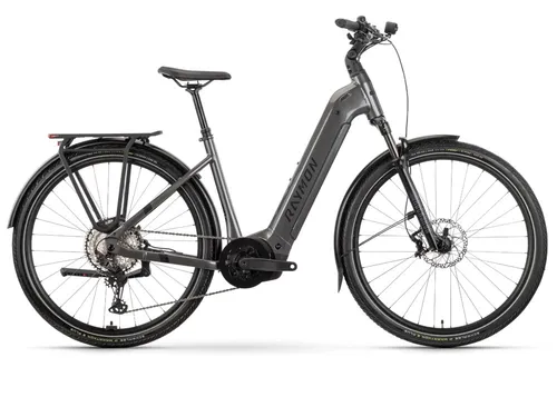 Raymon Tahona Diamond Low | Trekking E-Bike 29