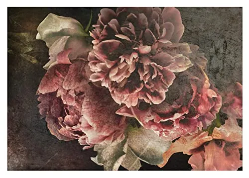 WallArena - Vlies Fototapete Blumen Vintage Retro Pfingstrosen Beton Betonwand 208x146 cm - Fototapeten Tapeten für Wohnzimmer Schlafzimmer Vliestapete Wandtapete Tapete 3D Effekt- inkl. Kleister