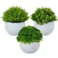 Produktbild: Relaxdays Kunstpflanzen im Topf Kunststoff Stein Grün Grau 3er Set 12 cm x ø 10 cm 0,25 kg