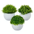 Produktbild: Relaxdays Kunstpflanzen Set (12 cm) (4052025871109)