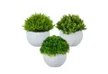 Produktbild: Kunstpflanze im Topf 3er Set Gras, Buchsbaum, relaxdays, Höhe 12 cm, A