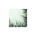 Produktbild: 20 Servietten B?ume ragen in den Himmel | Baum | Wald | Natur | Winter | Weihnachten | Tischdeko | Decoupage | Serviettentechnik 33x33cm