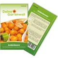 Produktbild: Deine Gartenwelt Andenbeere Kapstachelbeere Samen