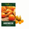 Produktbild: Andenbeere Kapstachelbeere Samen - Physalis peruviana - Andenbeerensamen