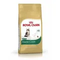 Produktbild: Royal Canin Feline Kitten Maine Coon 36 | 400g Kätzchenfutter