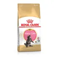 Produktbild: ROYAL CANIN Feline Kitten Maine Coon 36 | 400g Kätzchenfutter