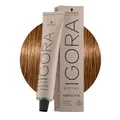 Produktbild: Schwarzkopf - Igora Royal Absolutes 7-50 7-50 Mittelblond - Gold Natur