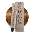 Produktbild: Schwarzkopf Igora Royal Absolutes 7-50 Natürliches Mittel Goldblond 60ml