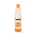 Produktbild: Morfose 2in1 Argan Hair Shampoo 500ml – Feuchtigkeitsspendendes Arganöl-Shampoo – Für gefärbtes & gesträhntes Haar – Pflege, Glanz & leichte Kämmbarkeit
