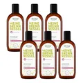 Produktbild: alkmene 6x Shampoo gegen fettige Haare mit Brennnessel 250 ml - Veganes Shampoo fettige Kopfhaut vermindert schnelles Nachfetten - Haarshampoo fettiger Ansatz