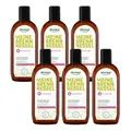 Produktbild: alkmene 6x Shampoo gegen fettige Haare mit Brennnessel 250 ml - Veganes Shampoo