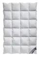 Produktbild: Arktic Kassetten Daunendecke Ganzjahresdecke 100% Natur