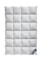 Produktbild: Arktic Kassetten Daunendecke Ganzjahresdecke 100% Natur 135x200 cm