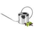 Produktbild: Sendez Gießkanne aus Edelstahl 1 L Poliert Gießer Blumengießkanne Bewässerung Blumen (1-tlg)