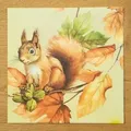 Produktbild: Airlaid Serviette Skippy, 40 x 40 cm, 50 Stück - Mank - Herbst Eichhörnchen