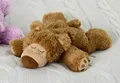 Produktbild: Warmies Sleepy Bear braun Wärmekissen Körnerkissen Wärme-Stofftier