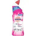 Produktbild: SAGROTAN 2in1 WC-Reiniger BLÜTENFRISCHE, 0,75 l