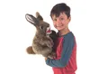 Produktbild: Folkmanis Handpuppen Handpuppe Folkmanis Hase