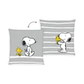 Produktbild: Peanuts Kissen Dekokissen kompartibel mit Snoopy und Woodstock, gefüllt
