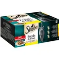 Produktbild: Sheba Katzen-Nassfutter Fresh & Fine In Sauce Multipack 3 Varietäten 50 x 50 g