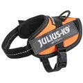Produktbild: Julius-K9 Hunde-Powergeschirr IDC Powergeschirr UV neon-orange Größe: 2XS/Baby 2 Bauchumfang: 33-45 cm / Breite: 18 mm