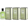 Produktbild: David Beckham Aromatic Greens 3 x 100 ml Eau de Parfum EDP Set Herrenparfum